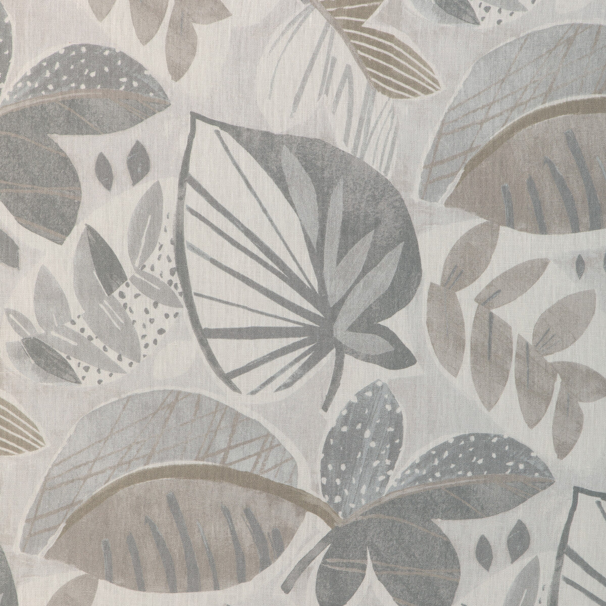 Leaf-A-Lot-Dove