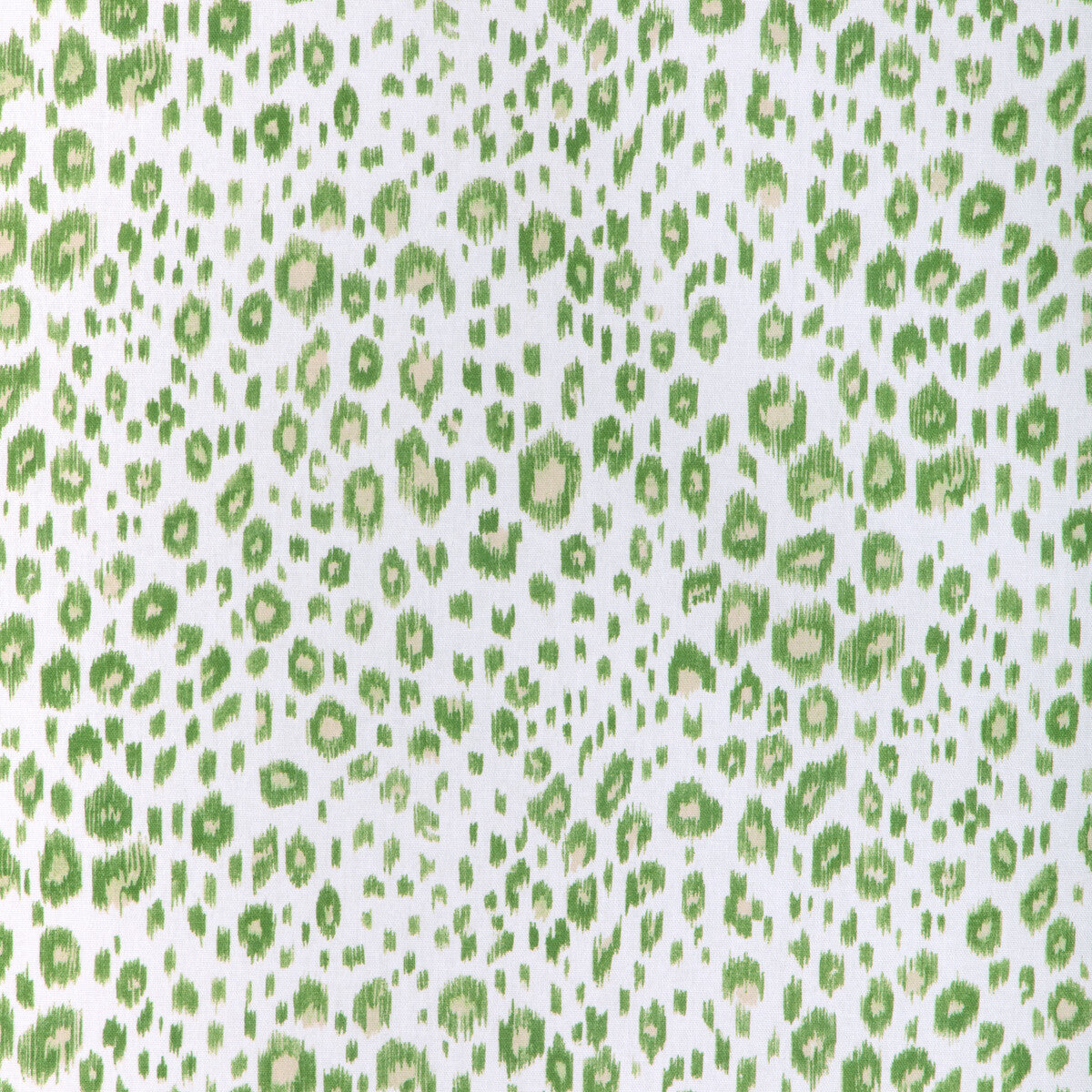 Leopardos-Aloe
