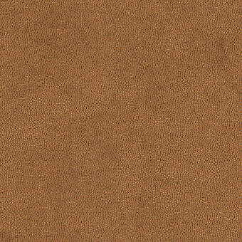 Litestar-Copper