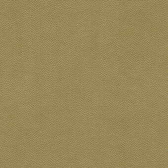 Litestar-Gold