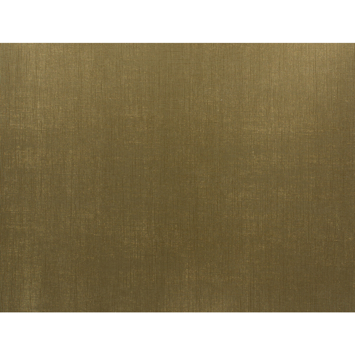 Looker-Bronze