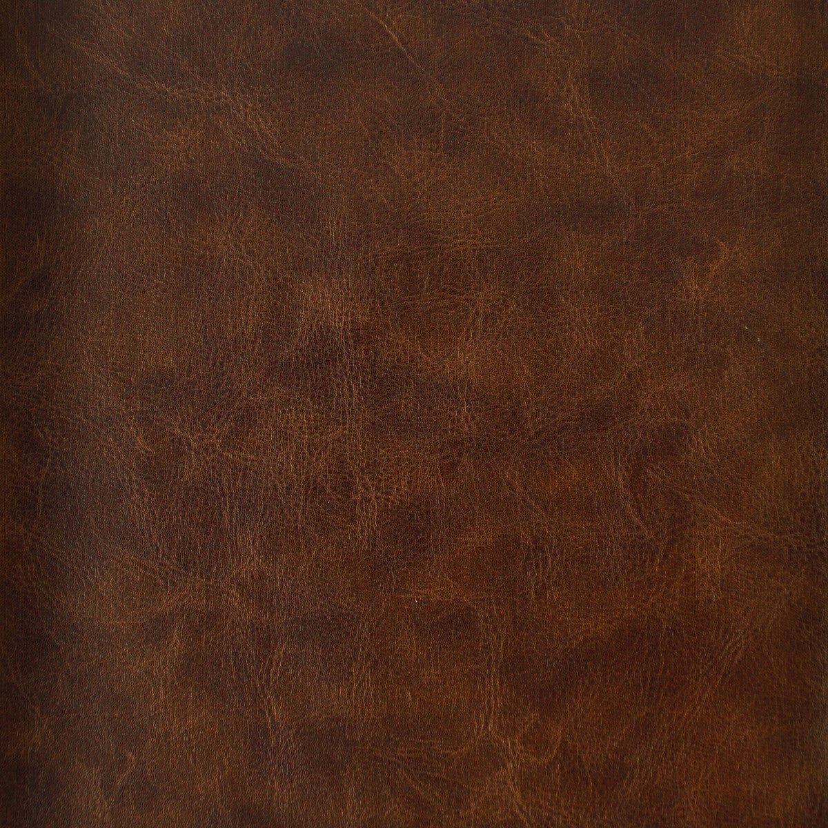 Kravet Design-Lowe-6