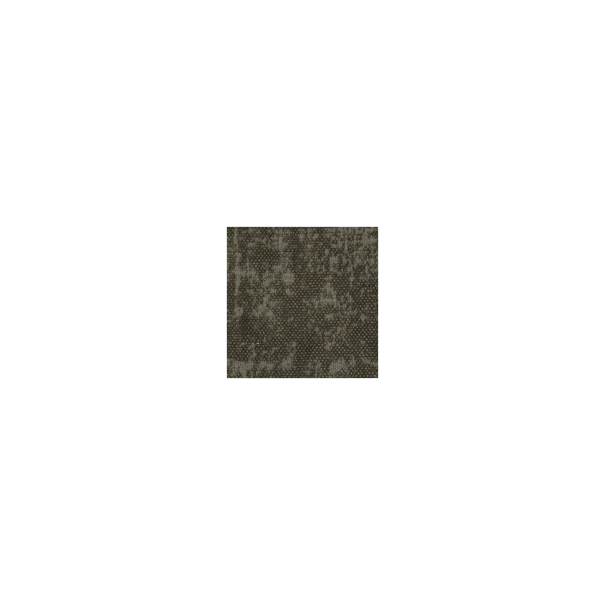 Jarapa-13
