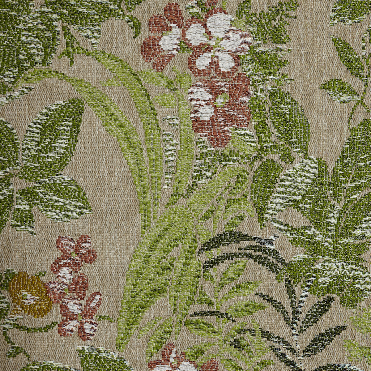 Tropic-03