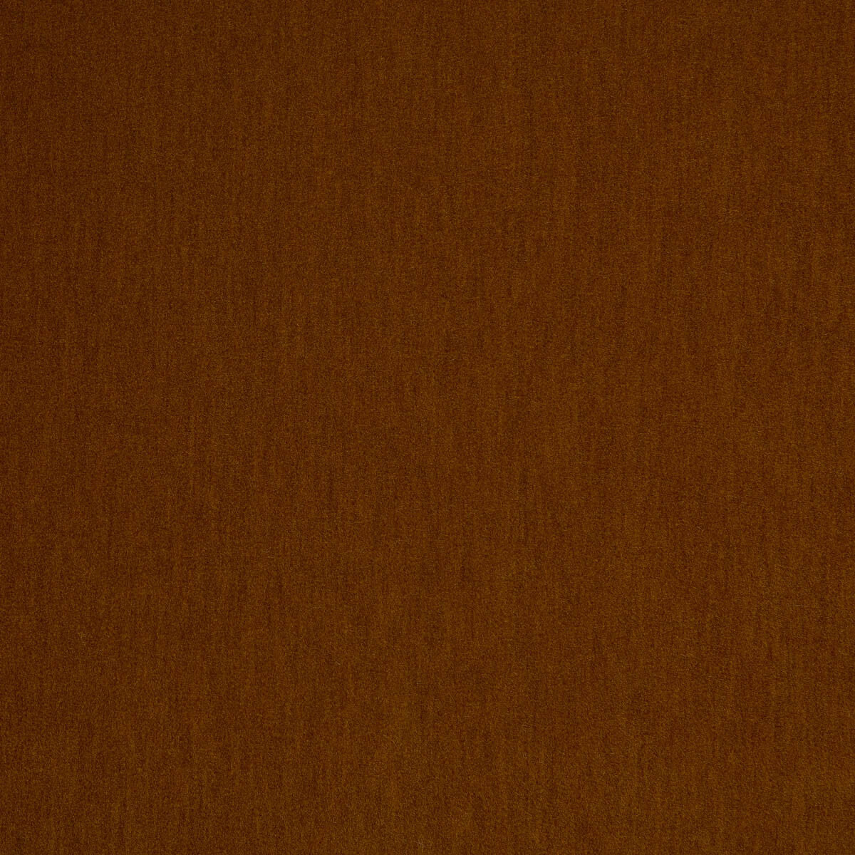 Livorno-08