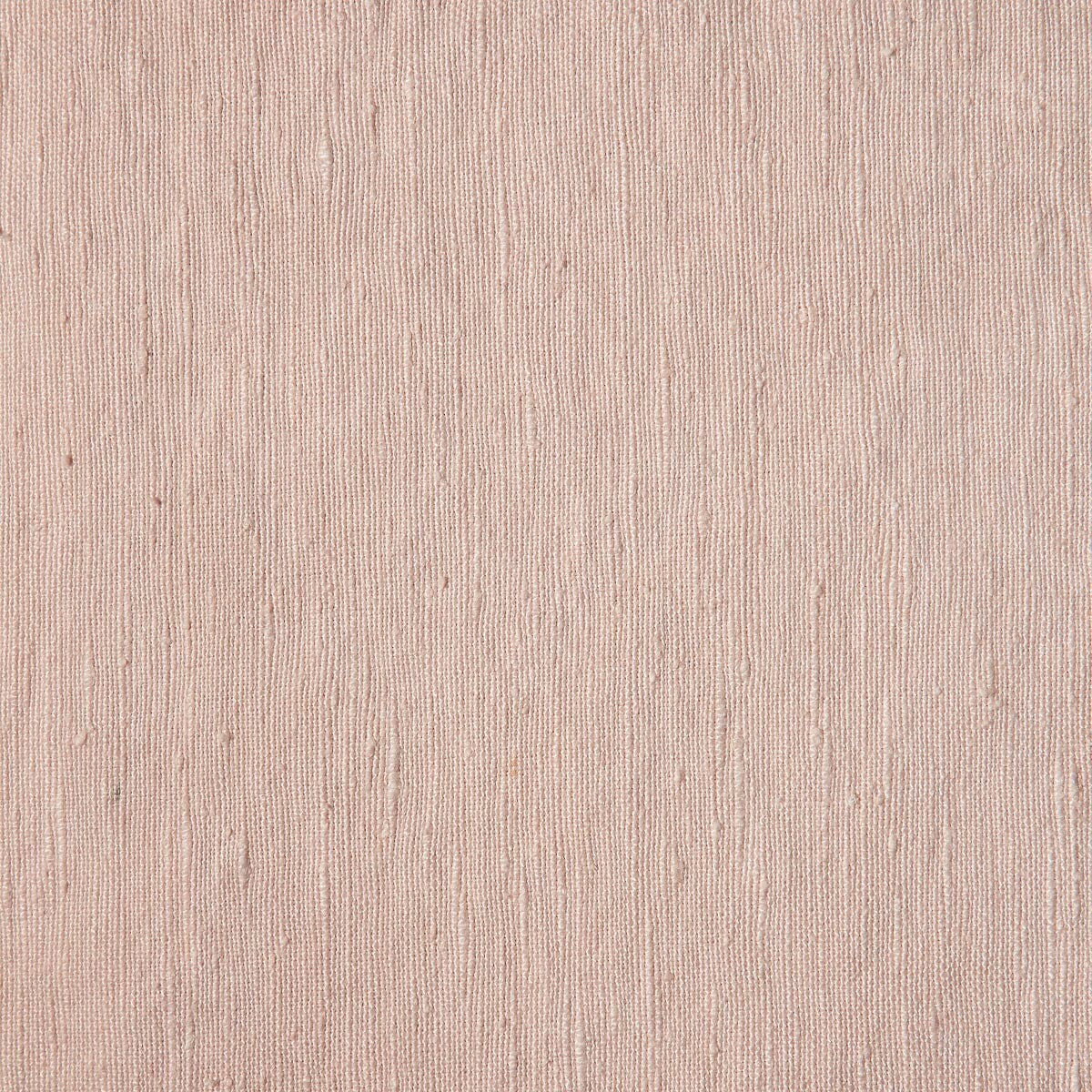 Linnet-02