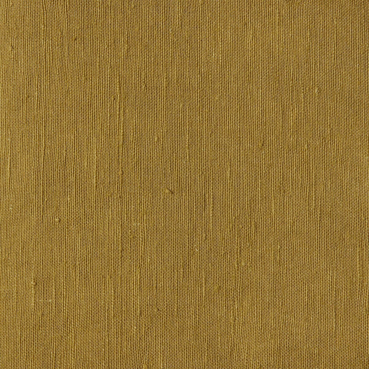 Linnet-05