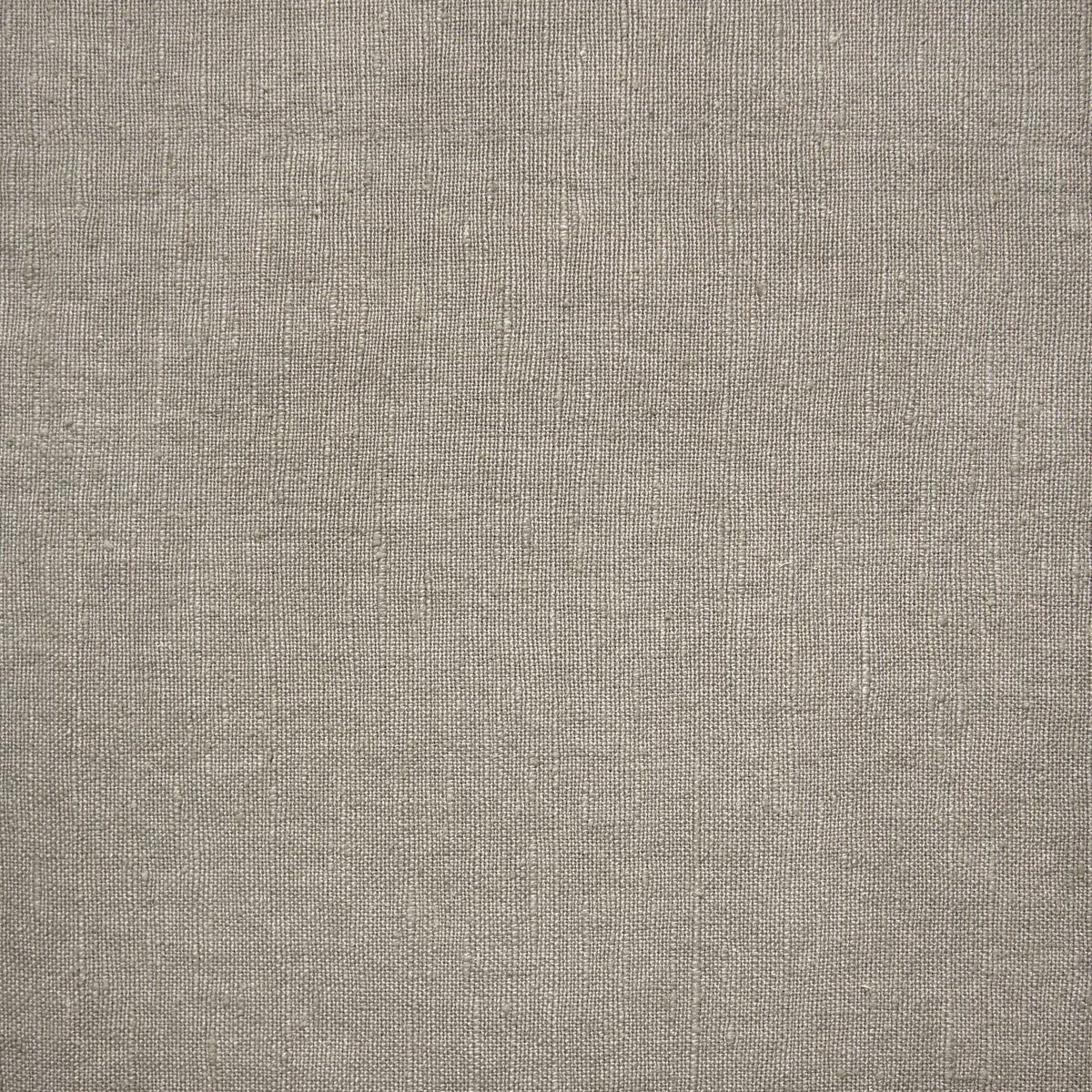 Linnet-36