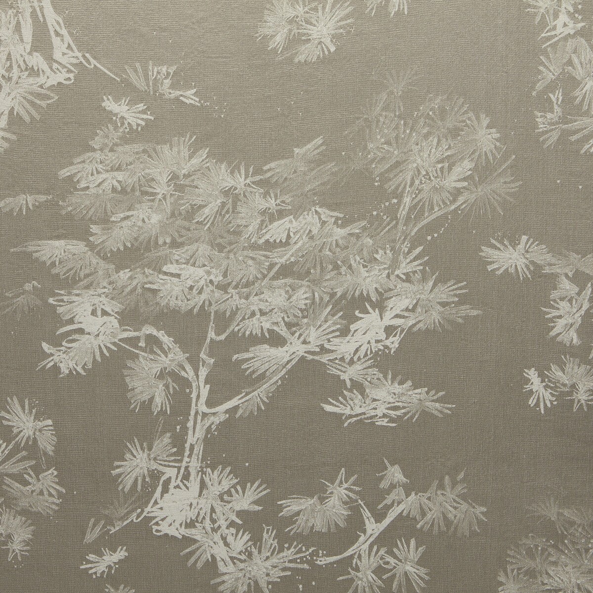 Ginkgo-06