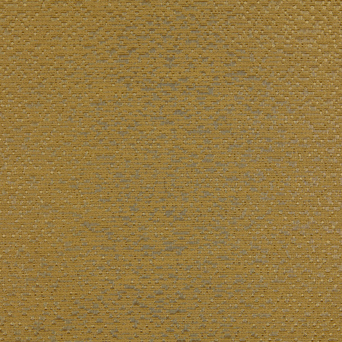 Lidia-05