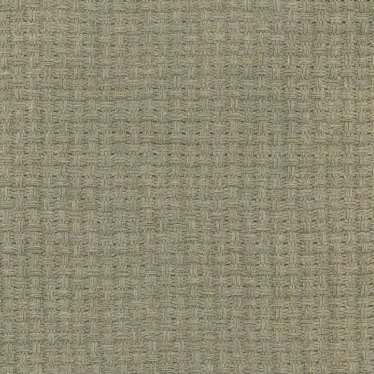 Medea-16