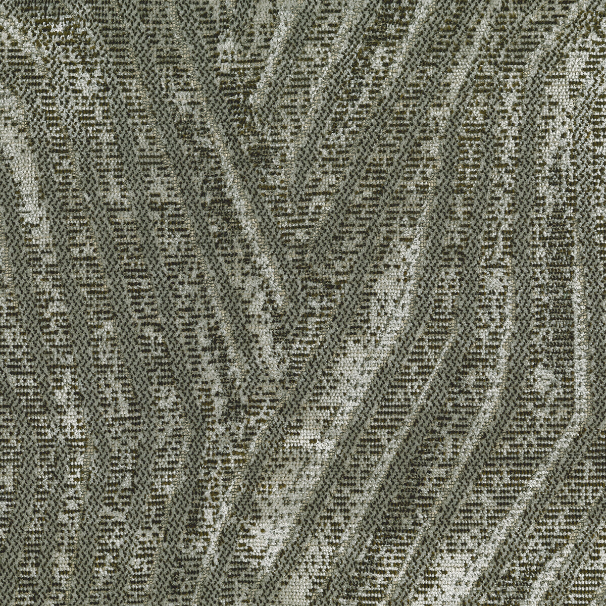 Bengala-09