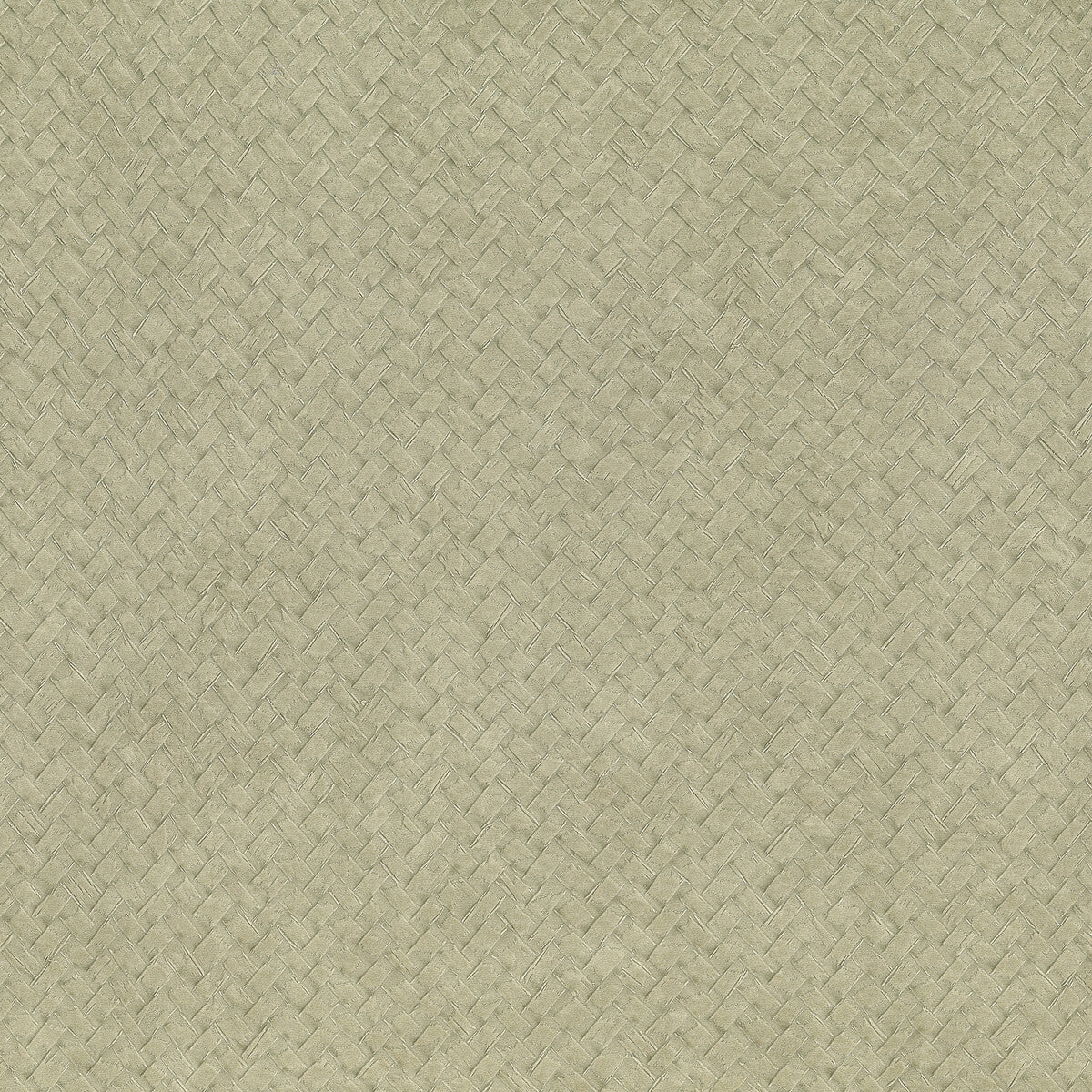 Cesto-03
