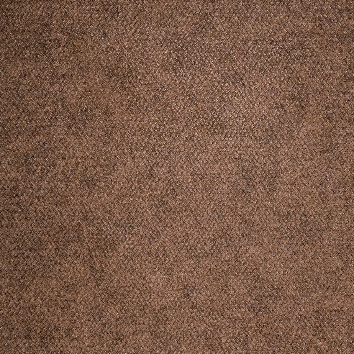 Cesto-21543