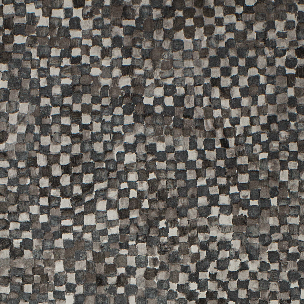 Dama-21562
