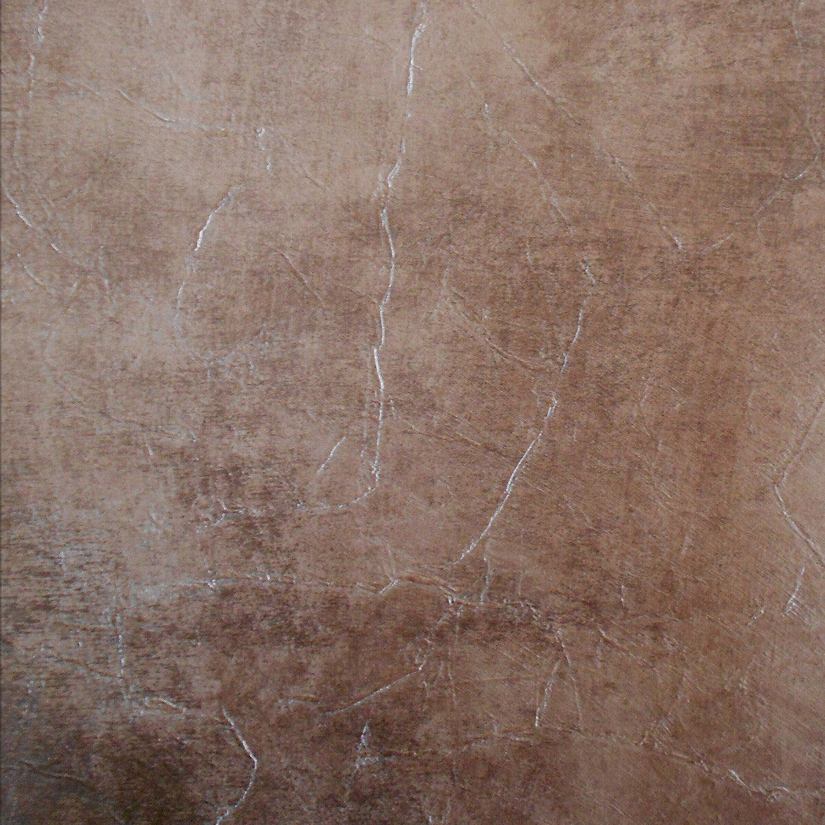 Sfumatura-21518