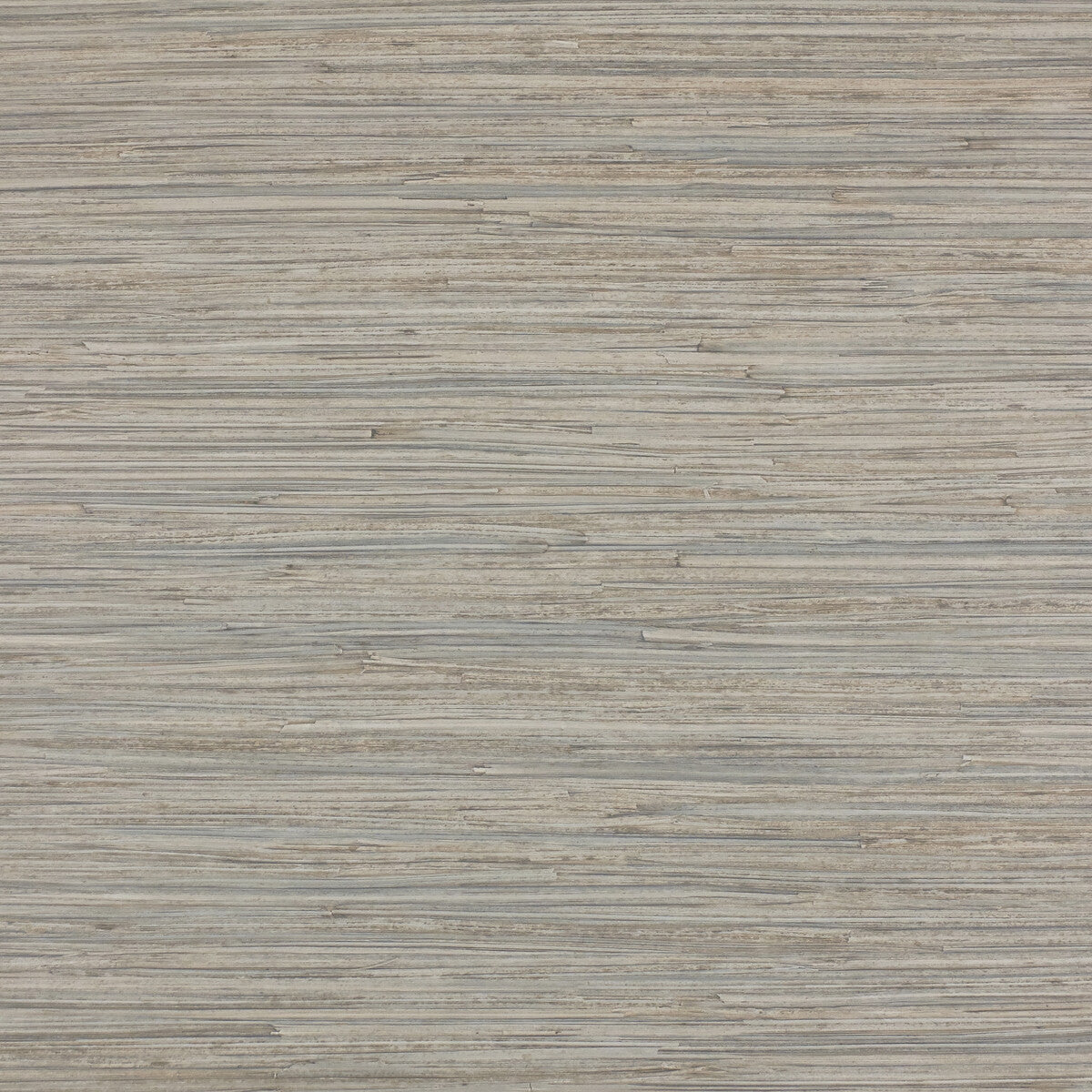 Enea-04