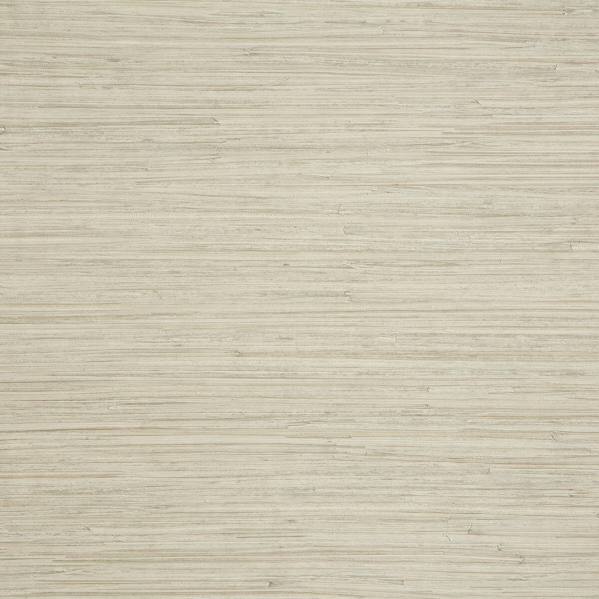 Enea-06
