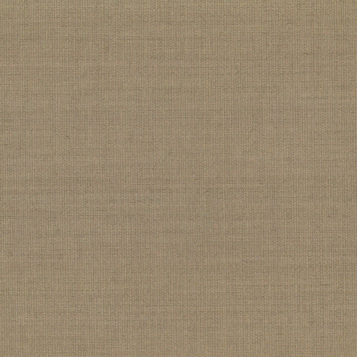 Arazzo-11