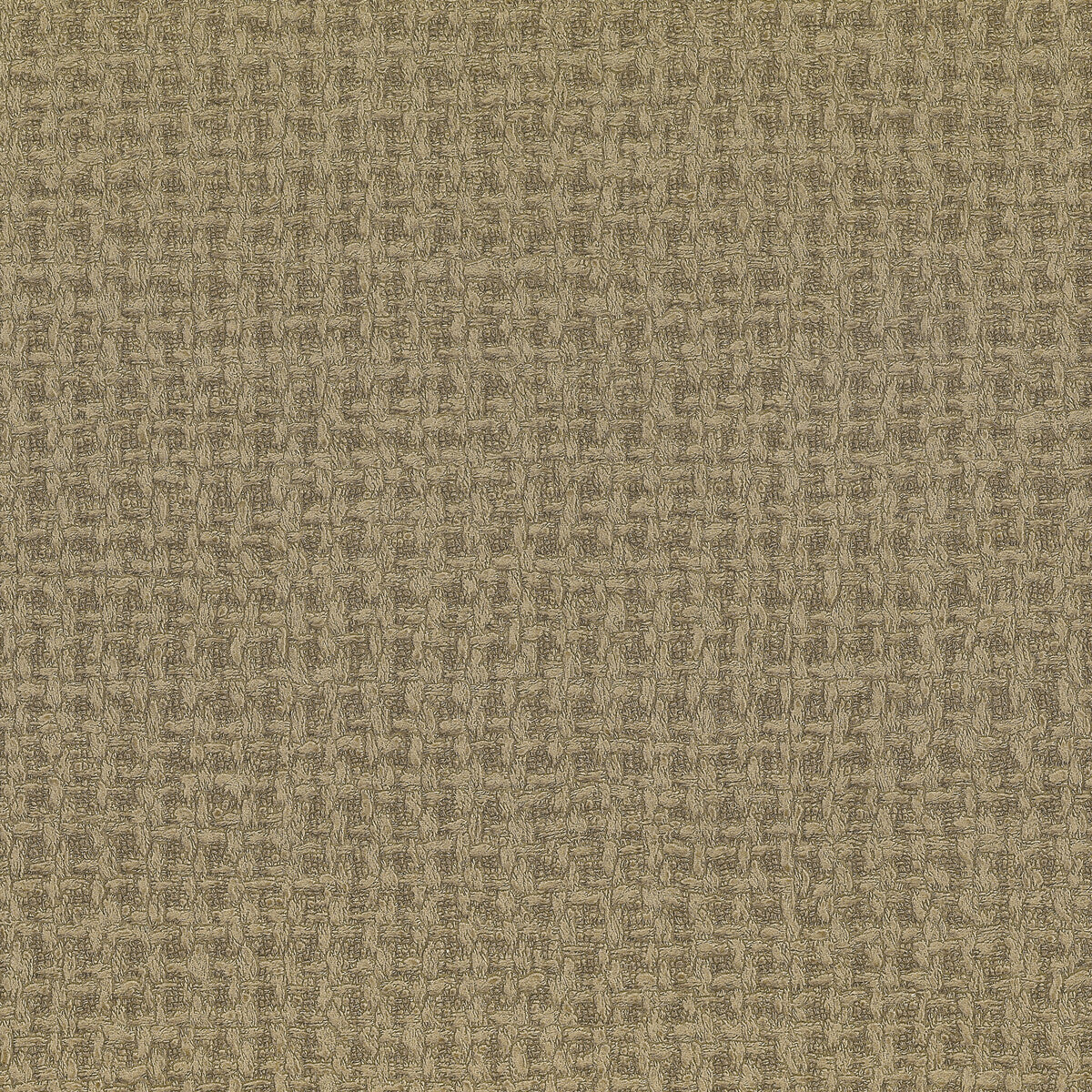 Tappeto-01