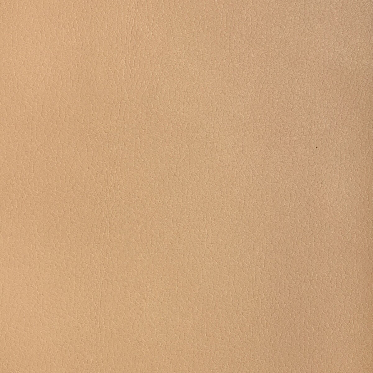 Kravet Design-Major-116