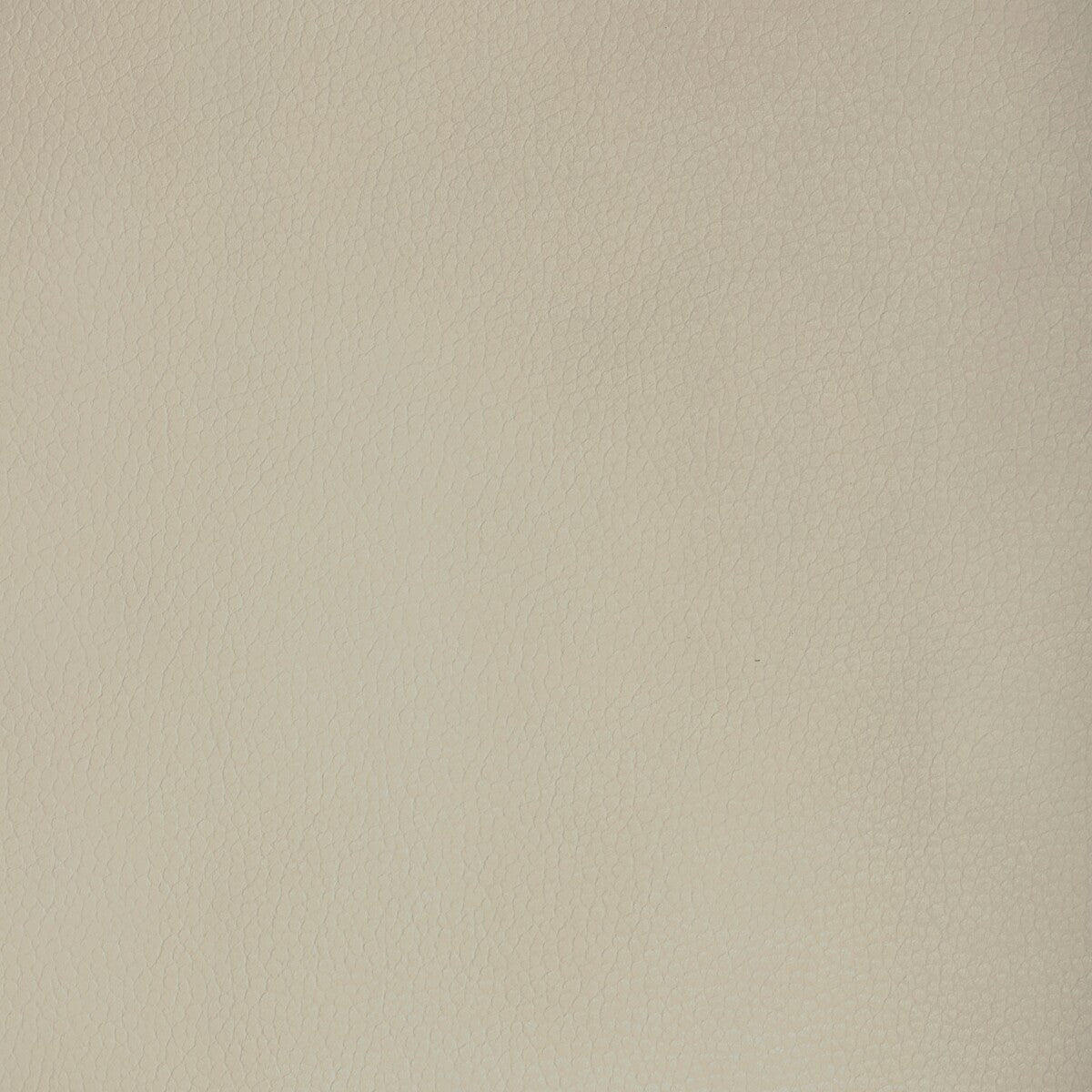 Kravet Design-Major-11
