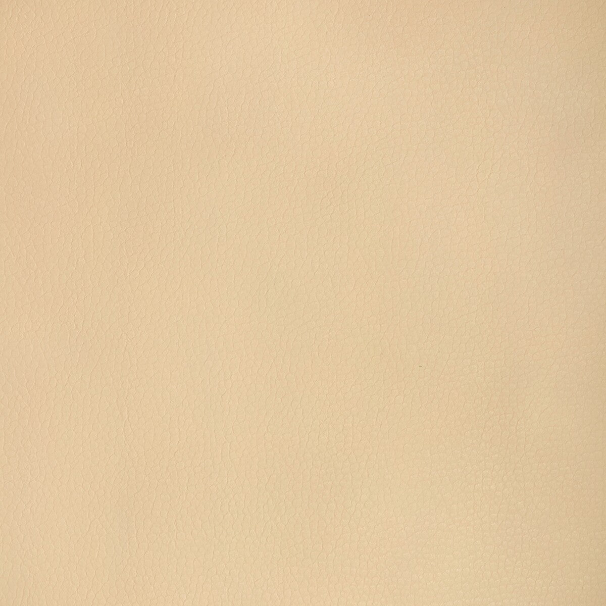 Kravet Design-Major-16