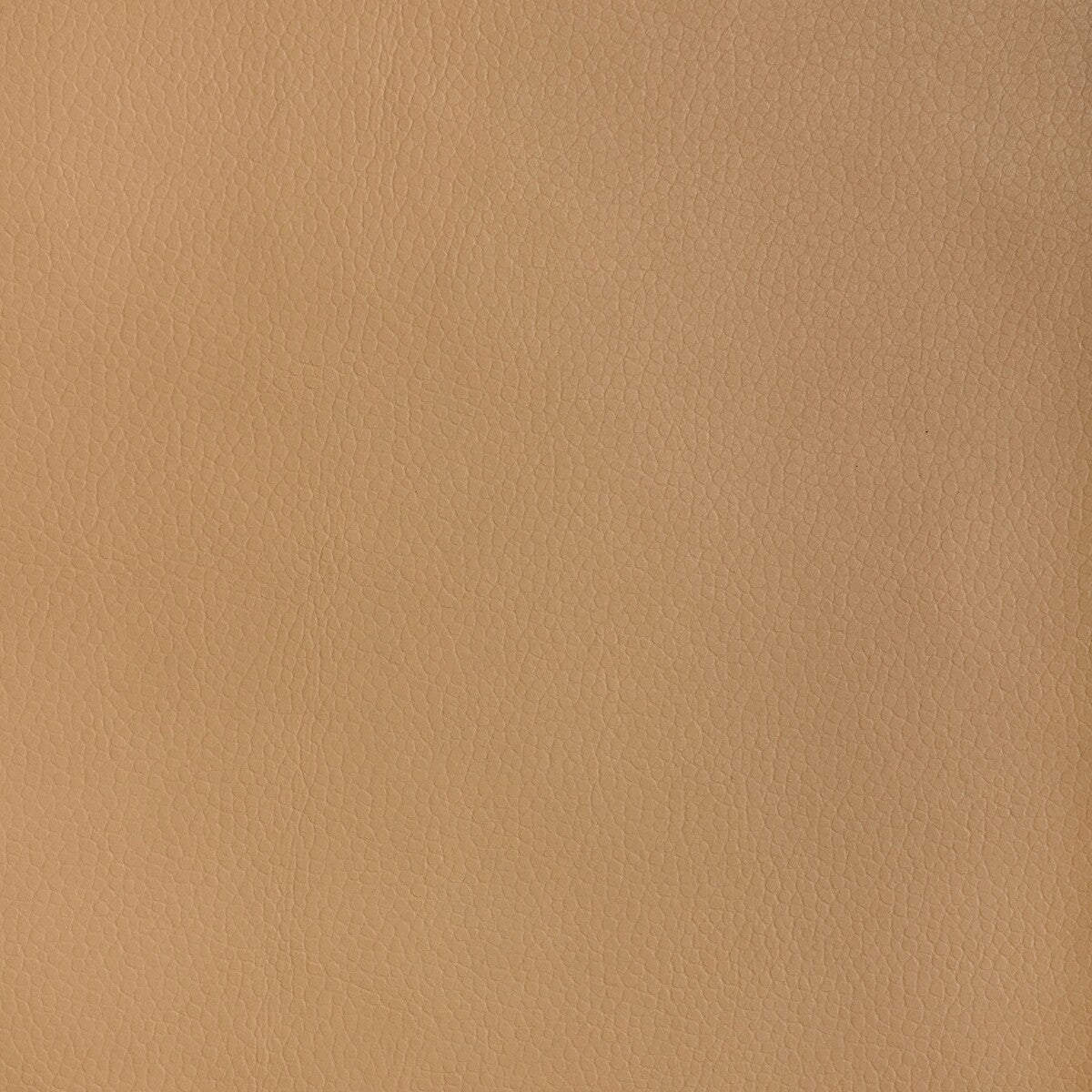 Kravet Design-Major-1616