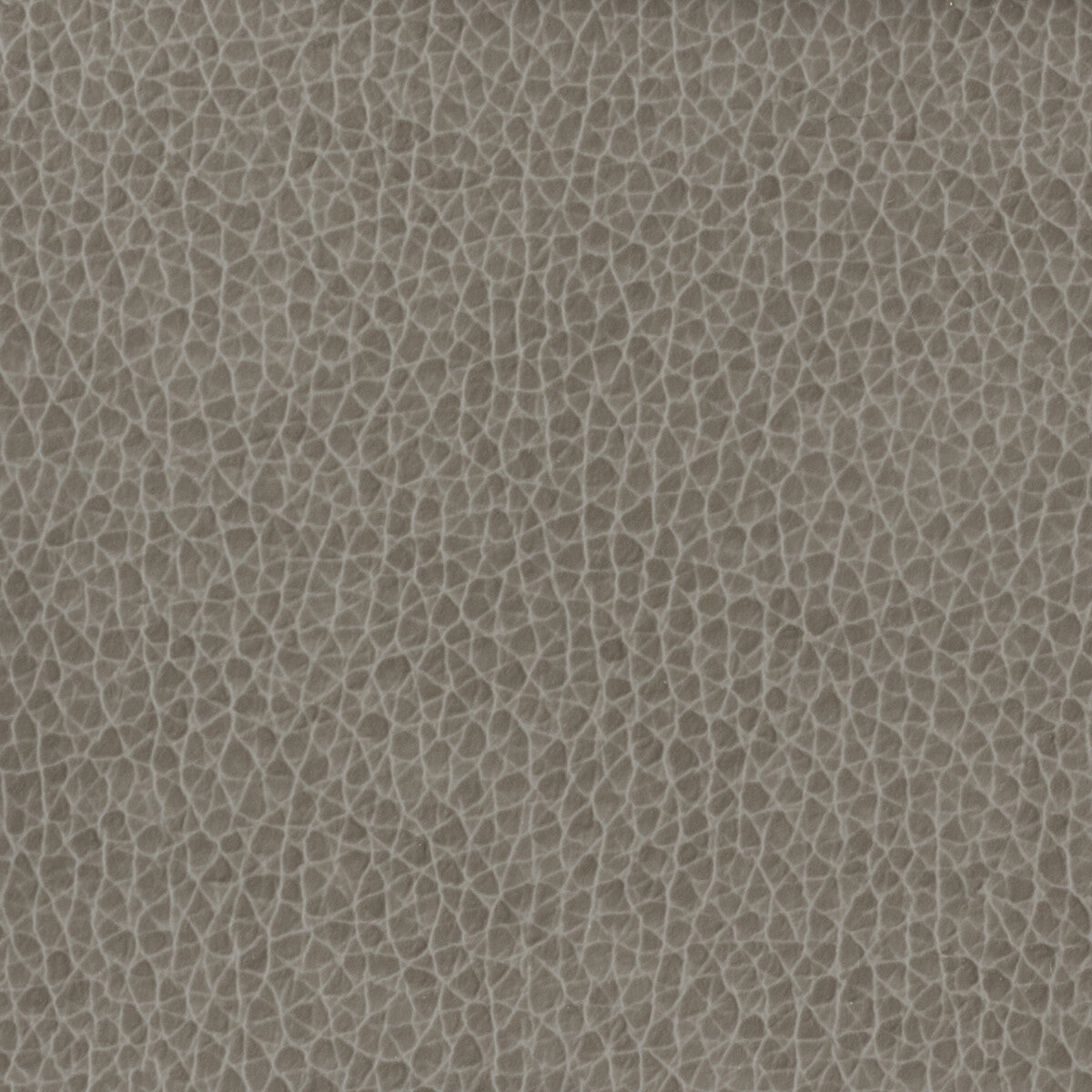 Kravet Basics-Matter-1121