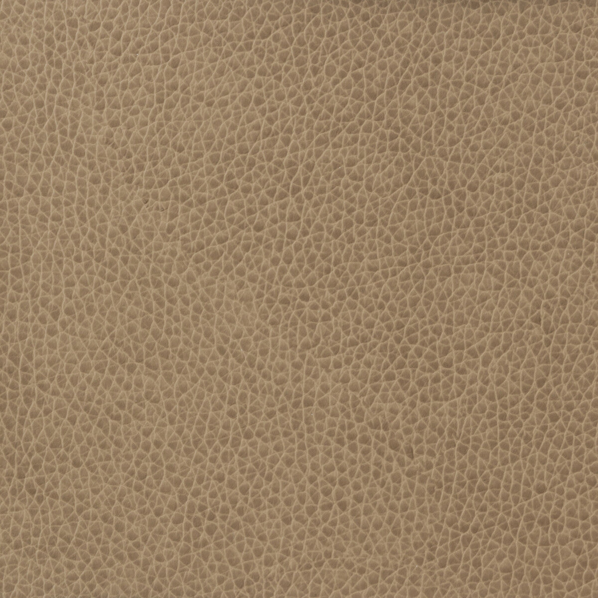 Kravet Basics-Matter-1611