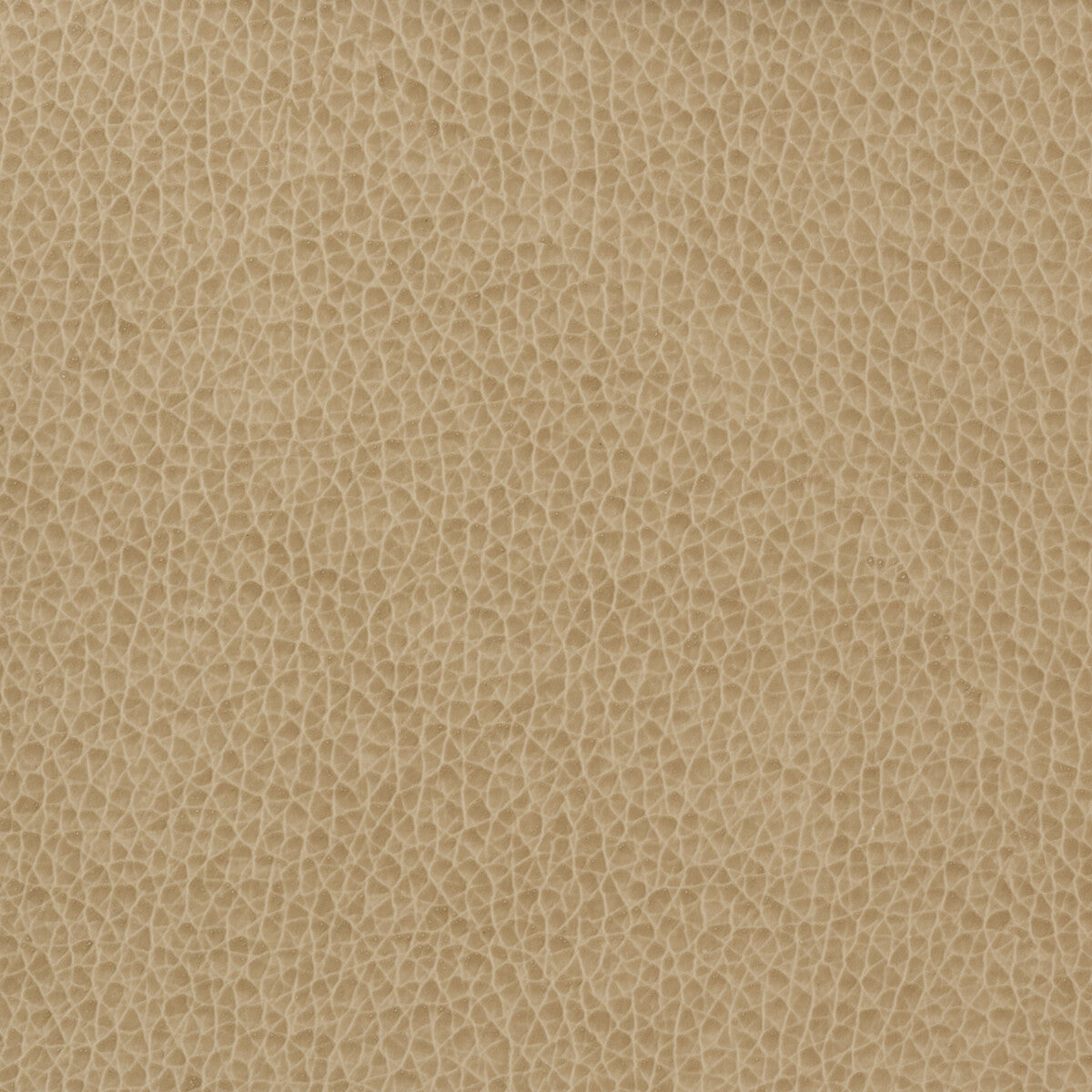 Kravet Basics-Matter-1616