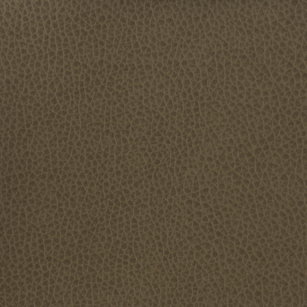 Kravet Basics-Matter-21