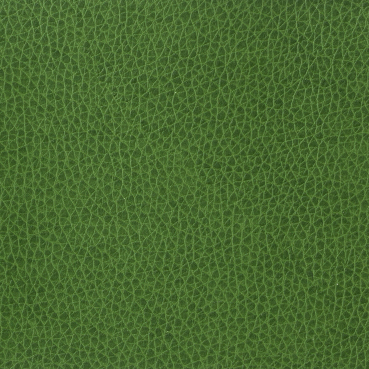 Kravet Basics-Matter-3