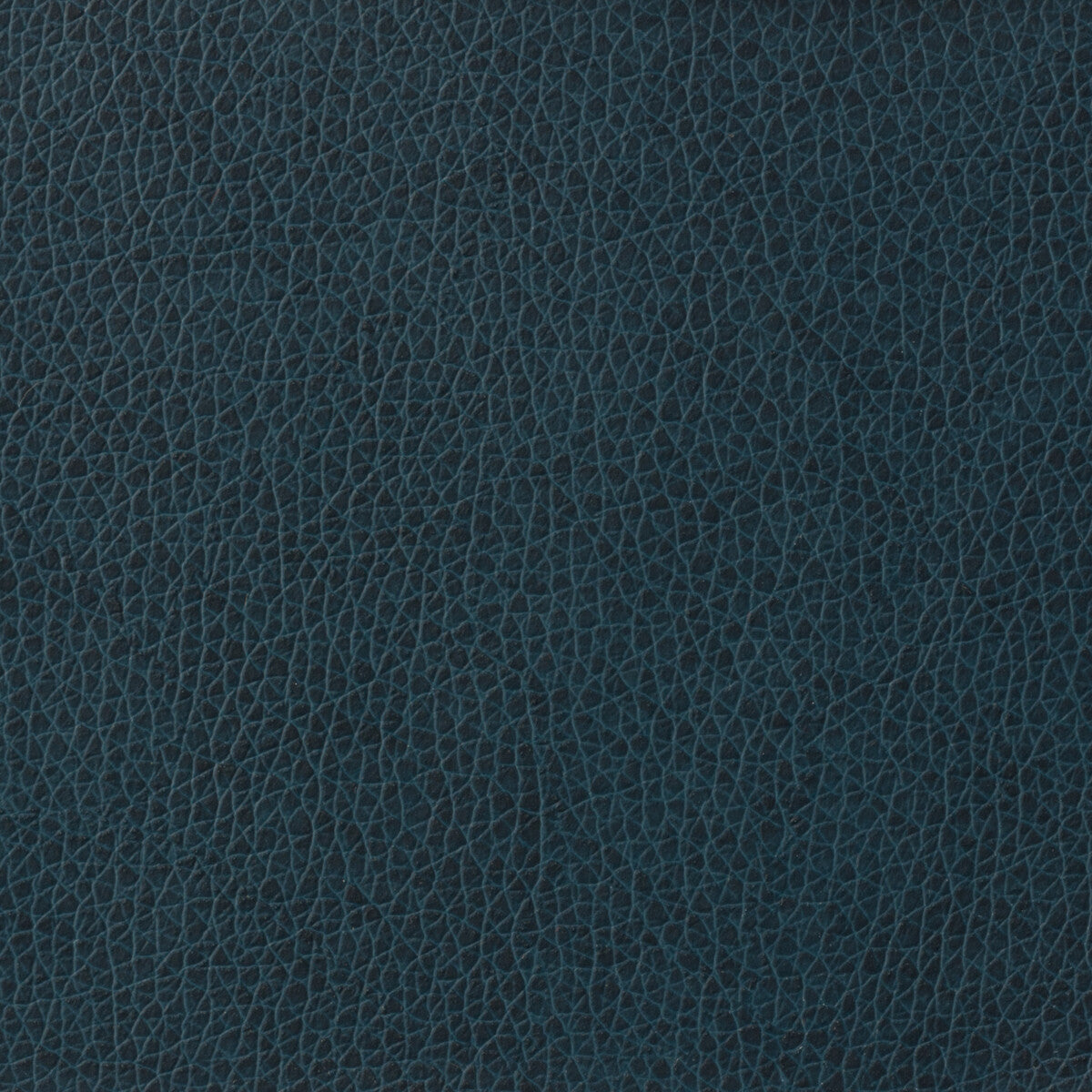 Kravet Basics-Matter-5