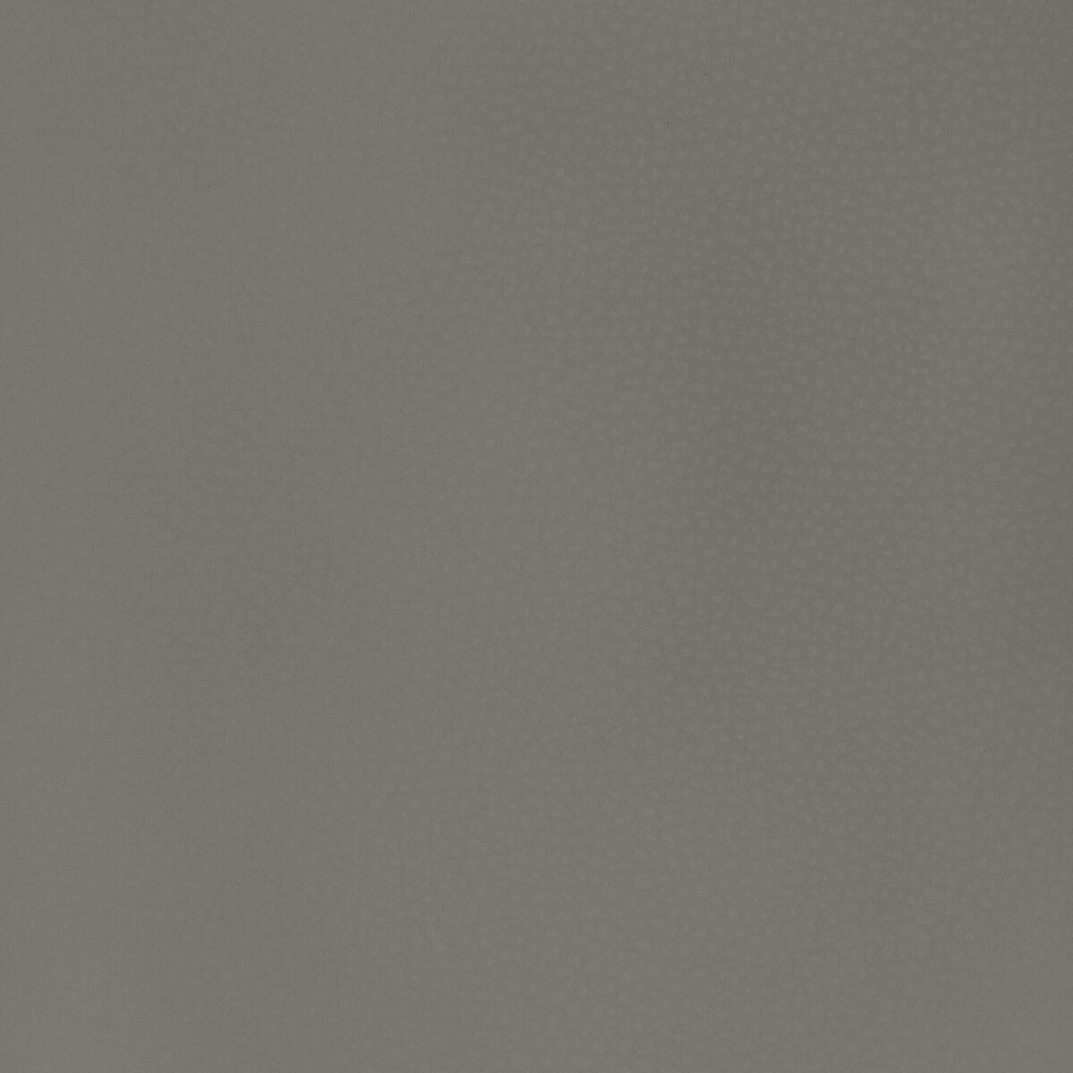 Kravet Design-Mend-11