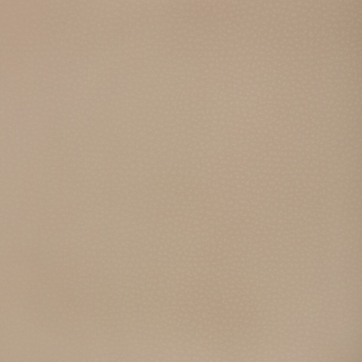 Kravet Design-Mend-1101
