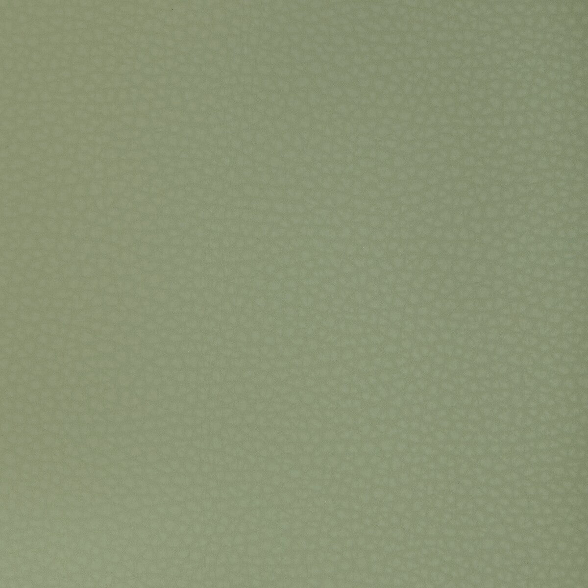 Kravet Design-Mend-123