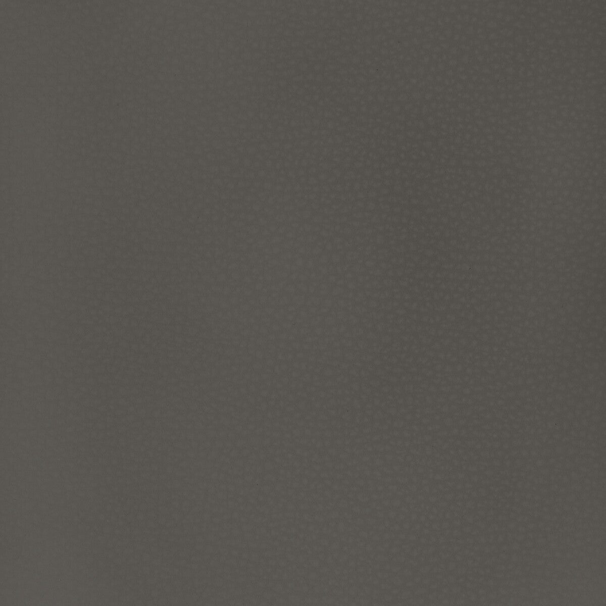 Kravet Design-Mend-21