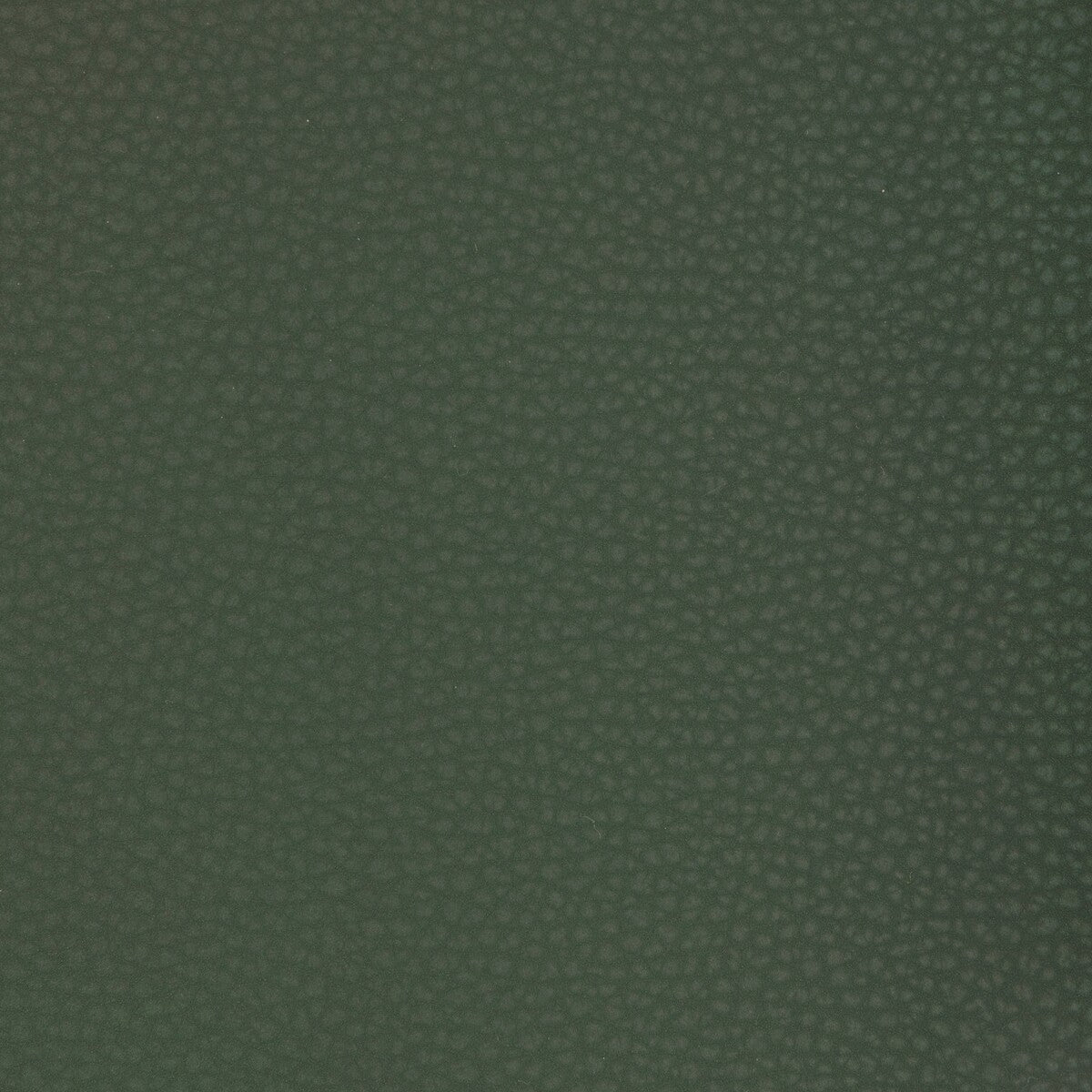 Kravet Design-Mend-33