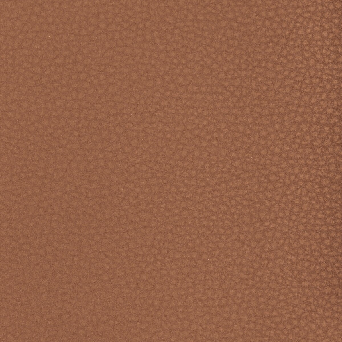 Kravet Design-Mend-6