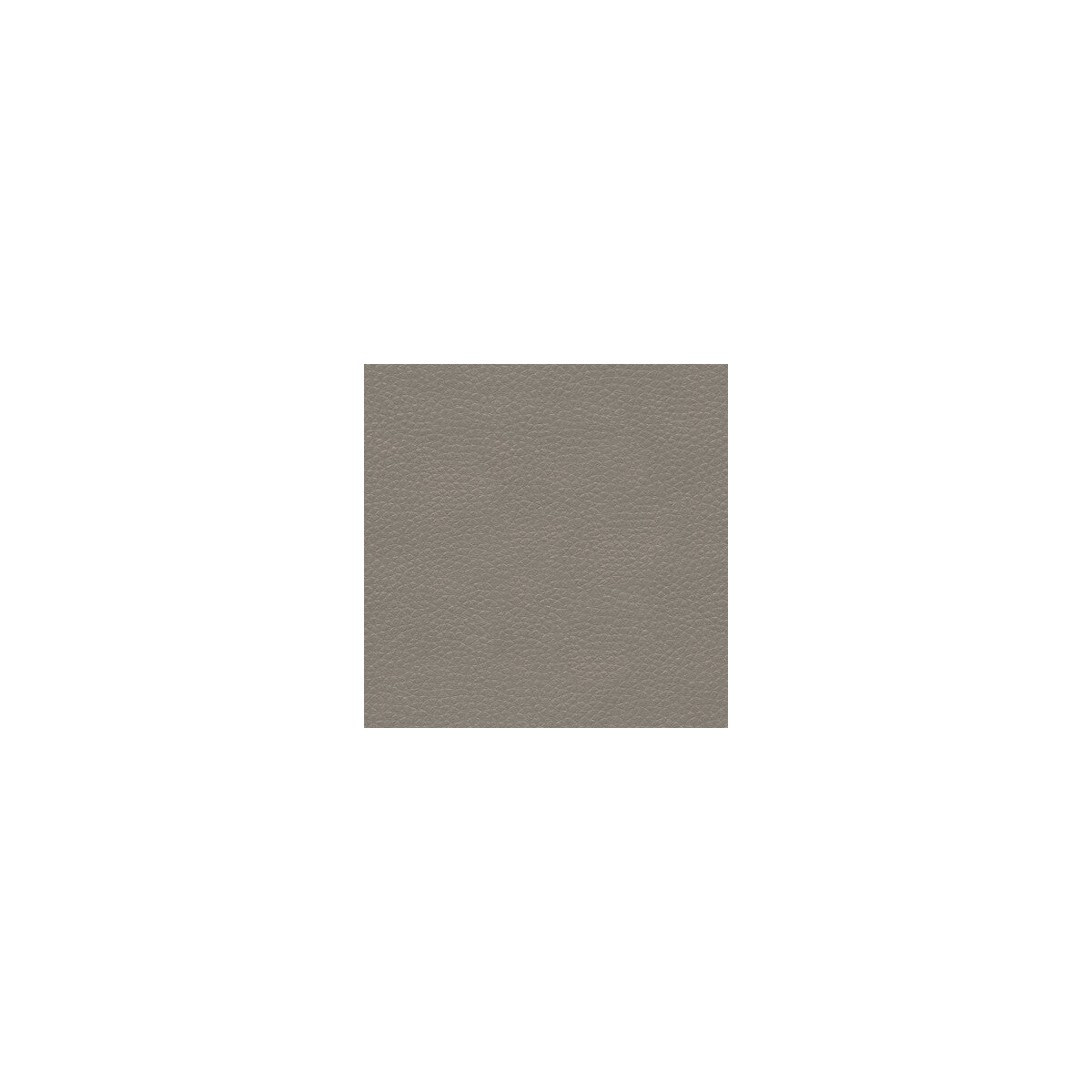 Metaliskin-Pewter