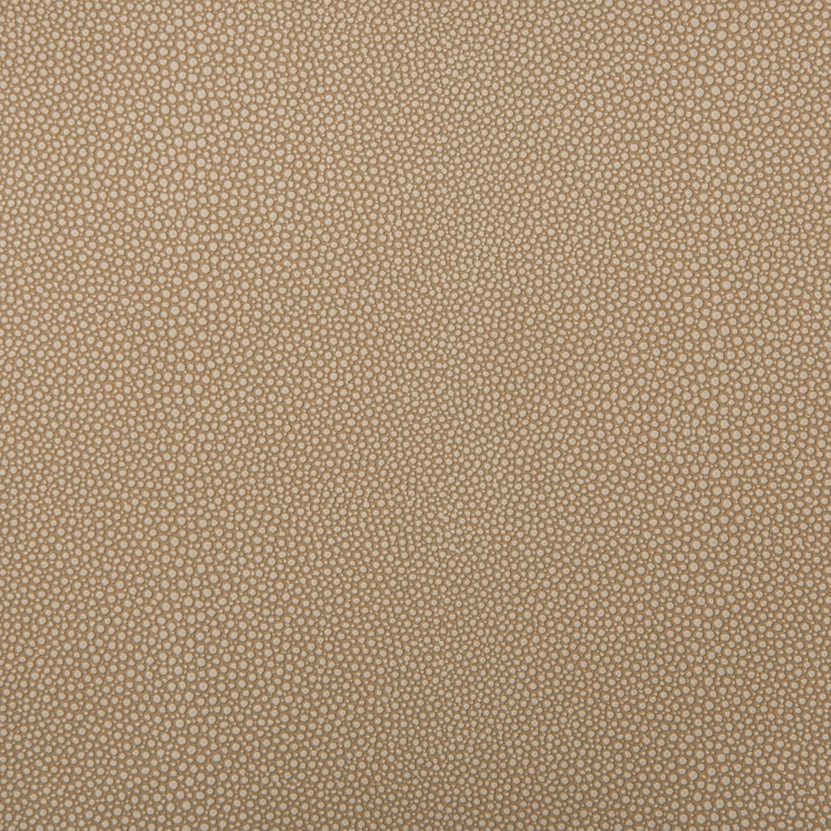 Kravet Design-Mindy-106