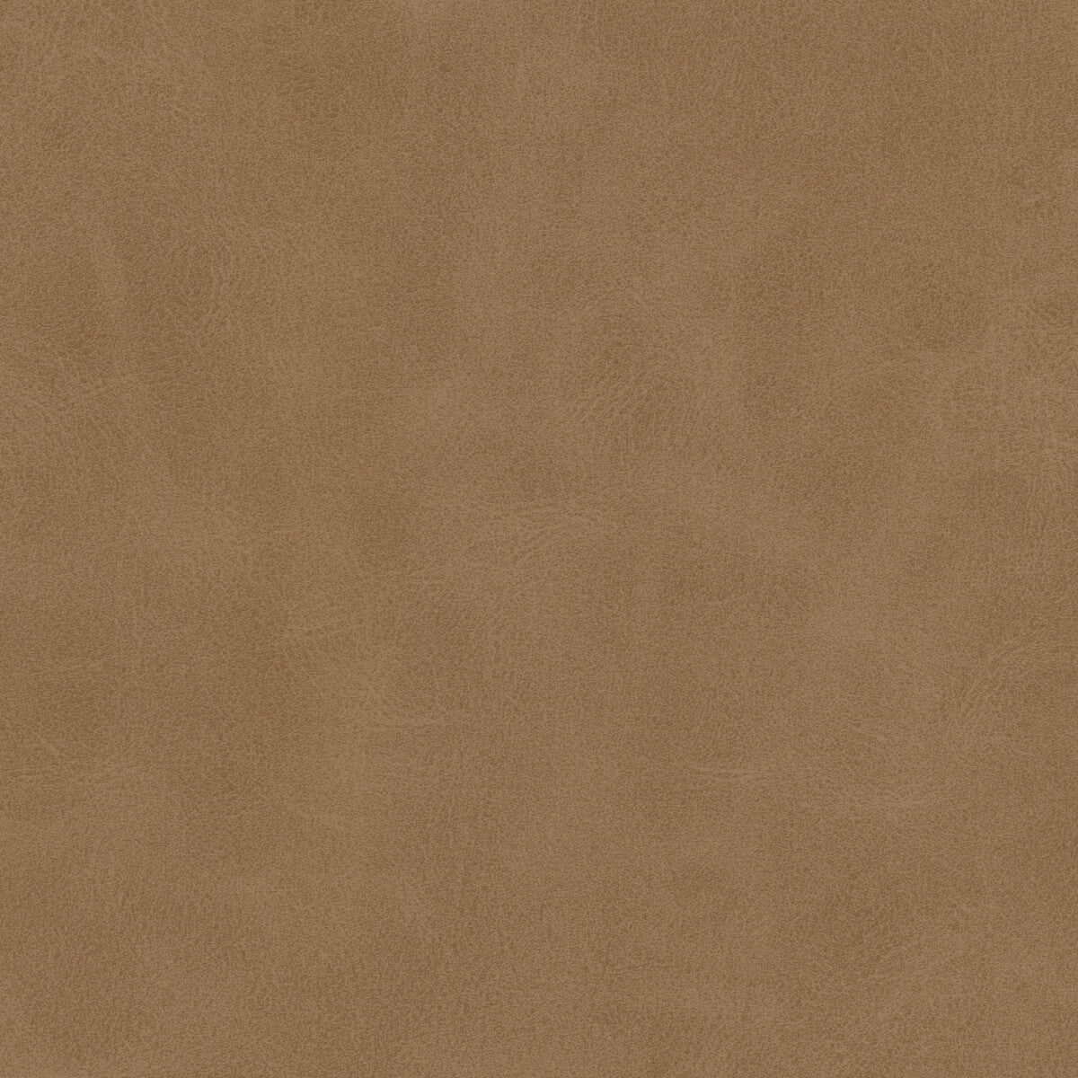Kravet Design-Mojari-106