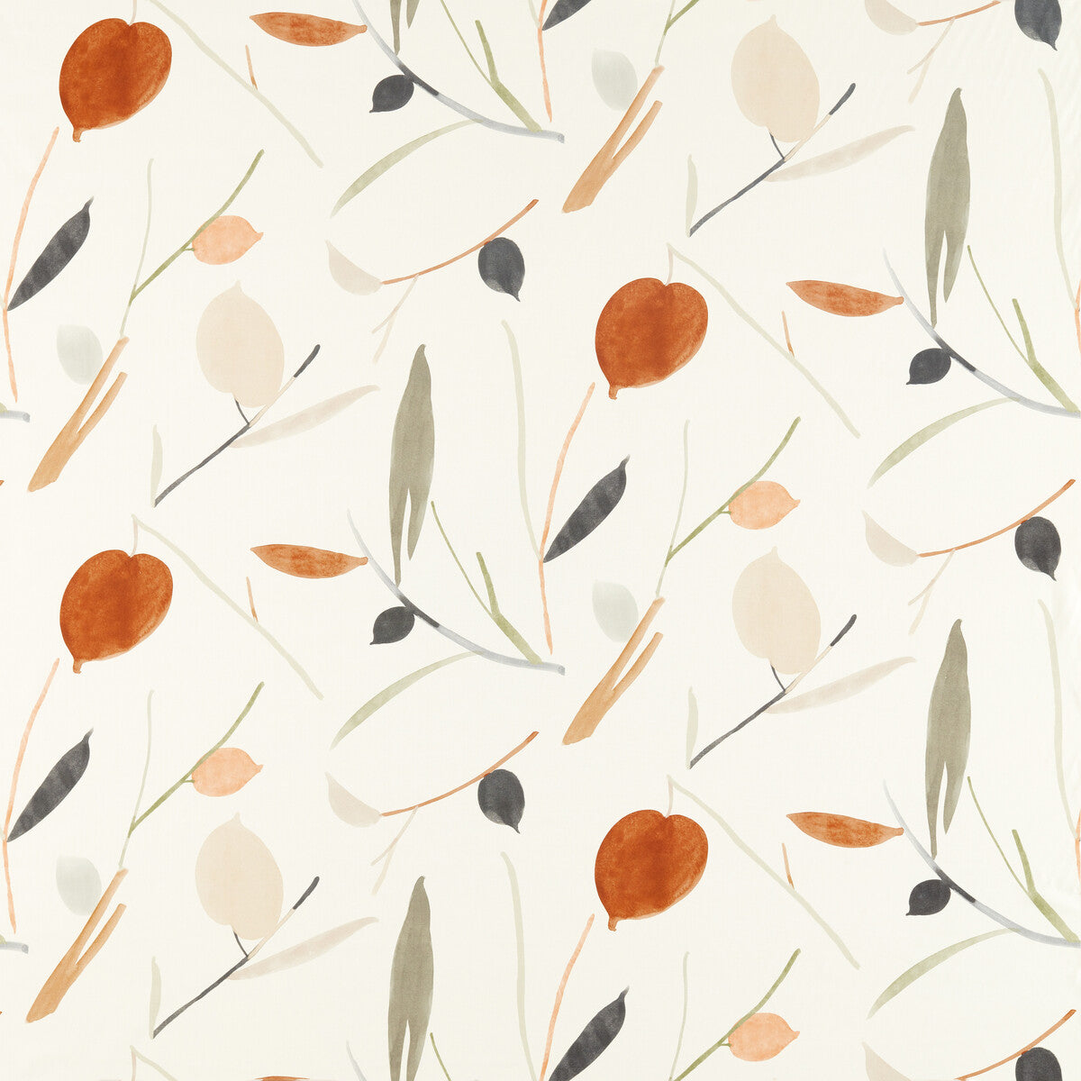 Oxalis-Spice/Raffia