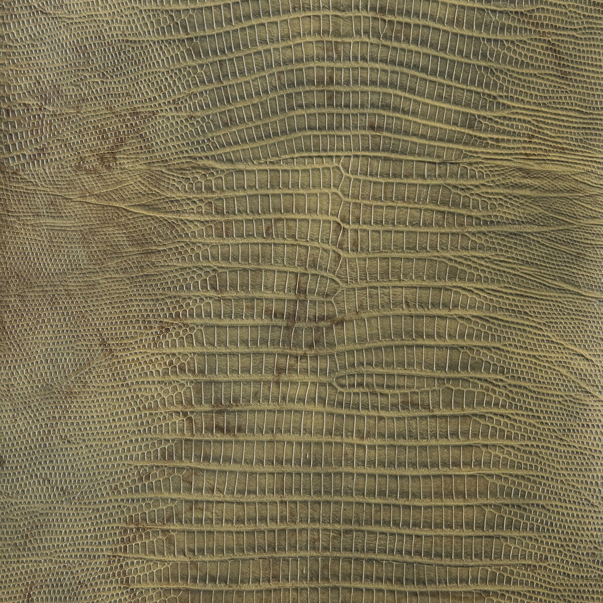 Kravet Design-Namaqua-3