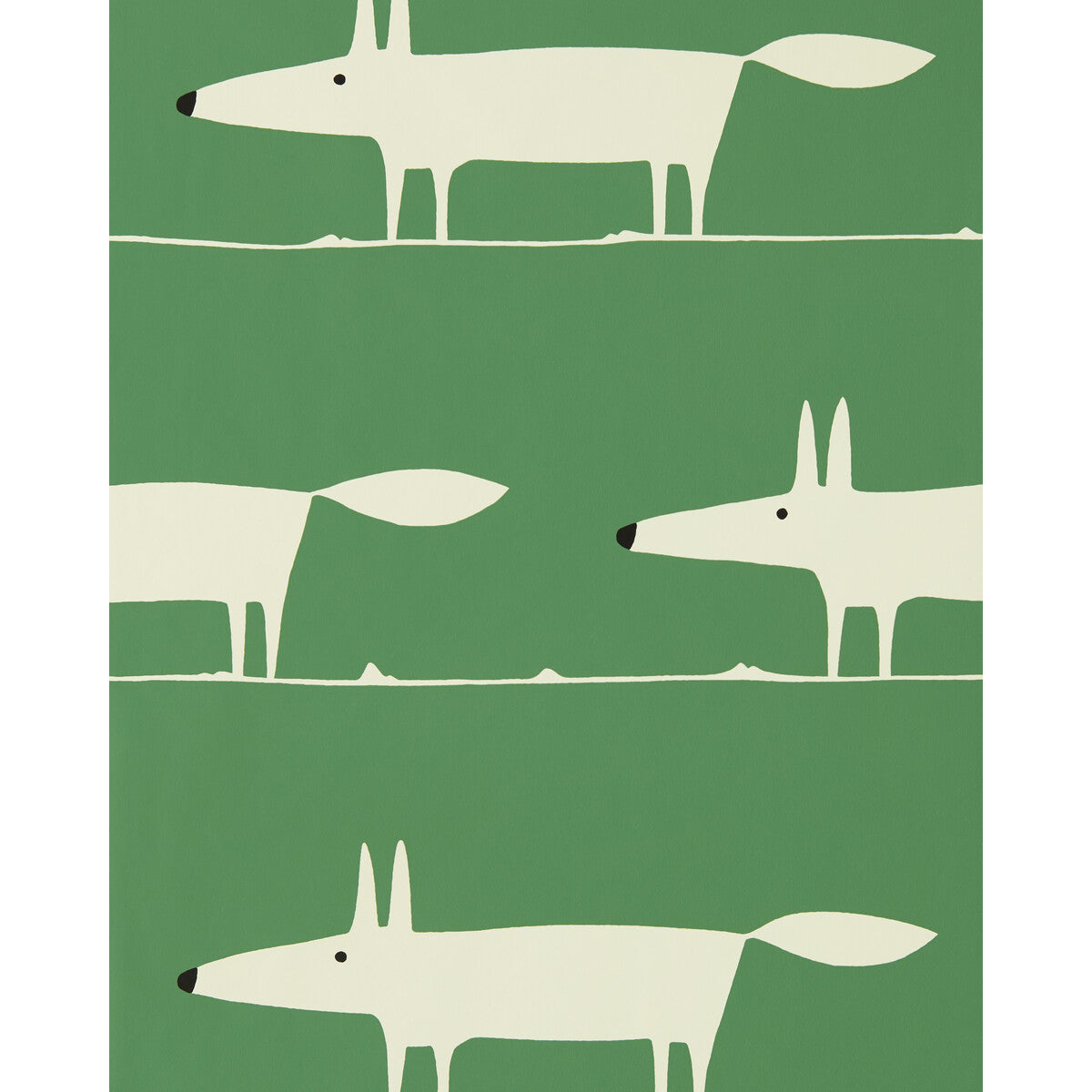 Mr Fox Wp-Mint