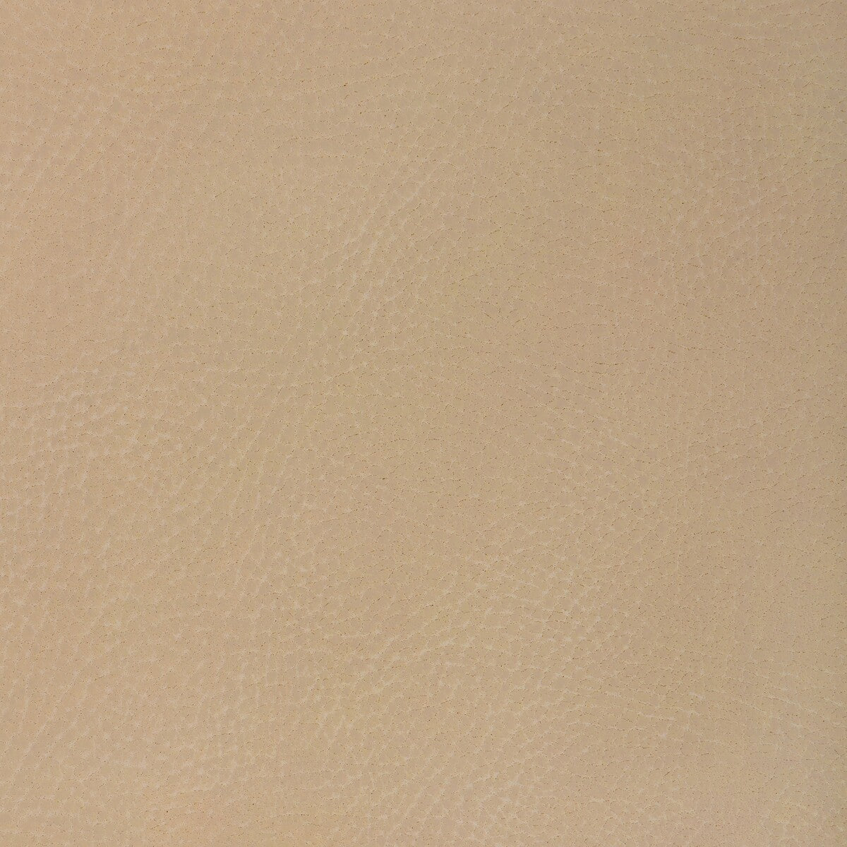 Kravet Design-Nash-16