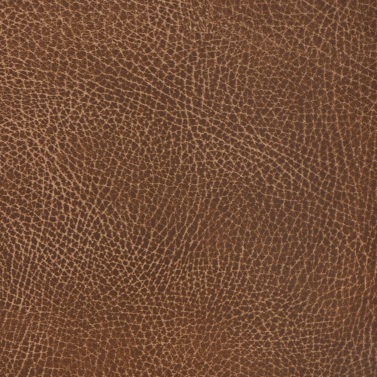 Kravet Design-Nash-6
