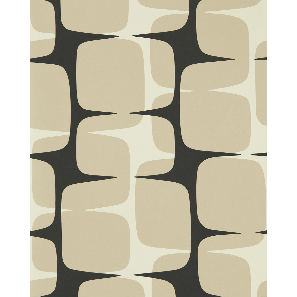 Going Lohko-Powder/Liquorice