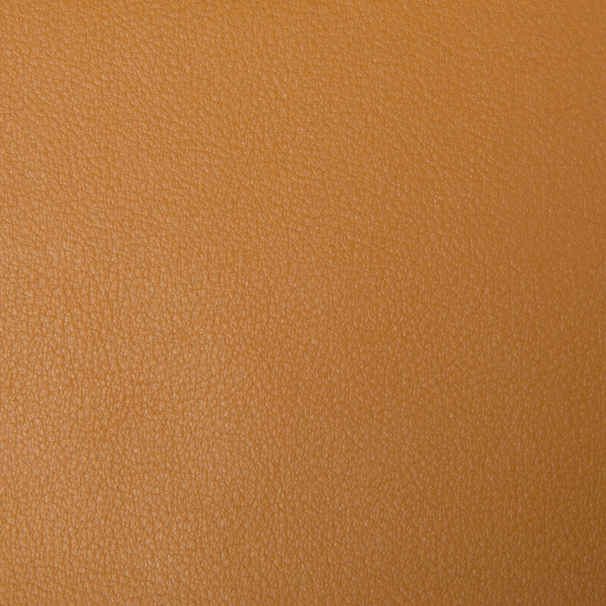 Kravet Smart-Newt-4